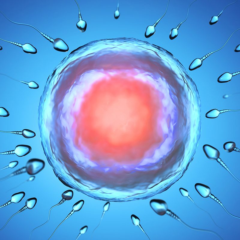 IVF Treatment